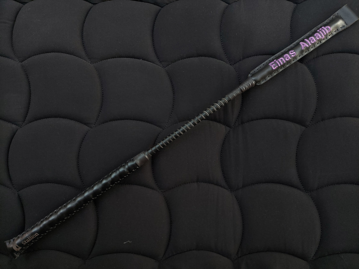 Personalized whip