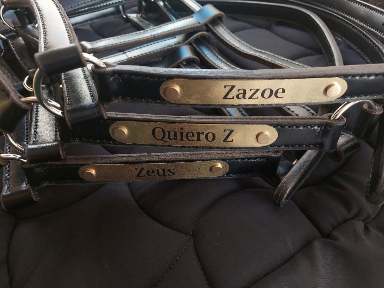 Customized Leather Halter