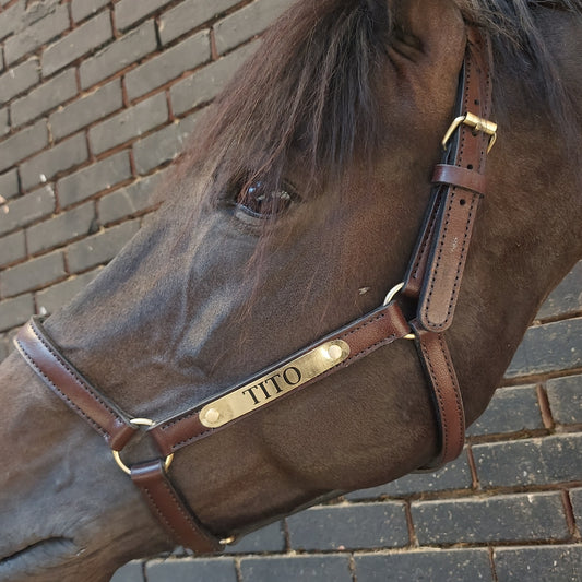 Customized Leather Halter
