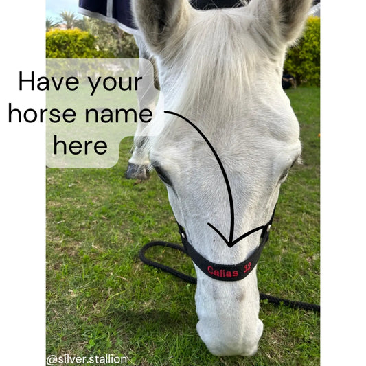 Personalized Horse Halter