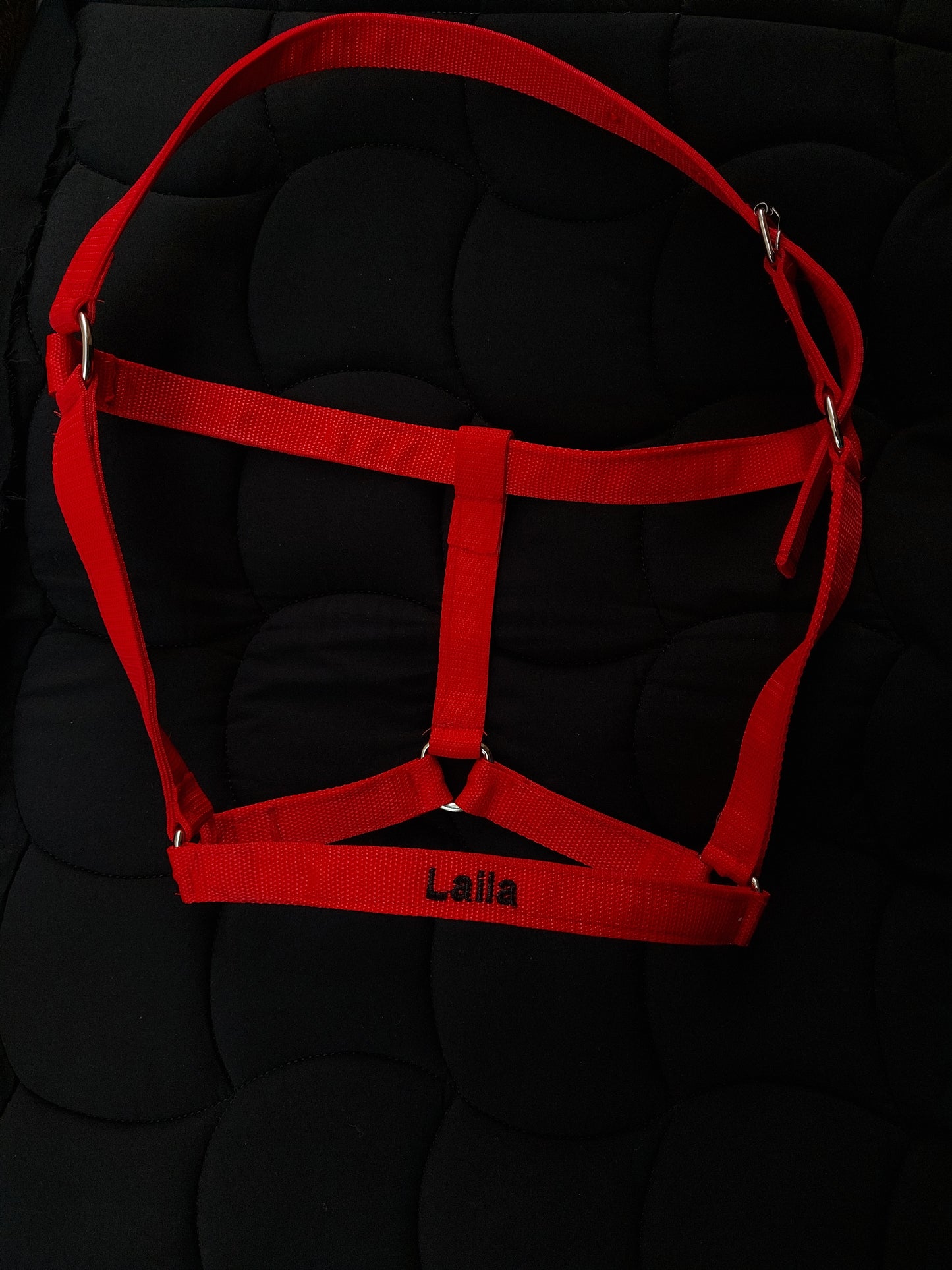 Personalized Horse Halter