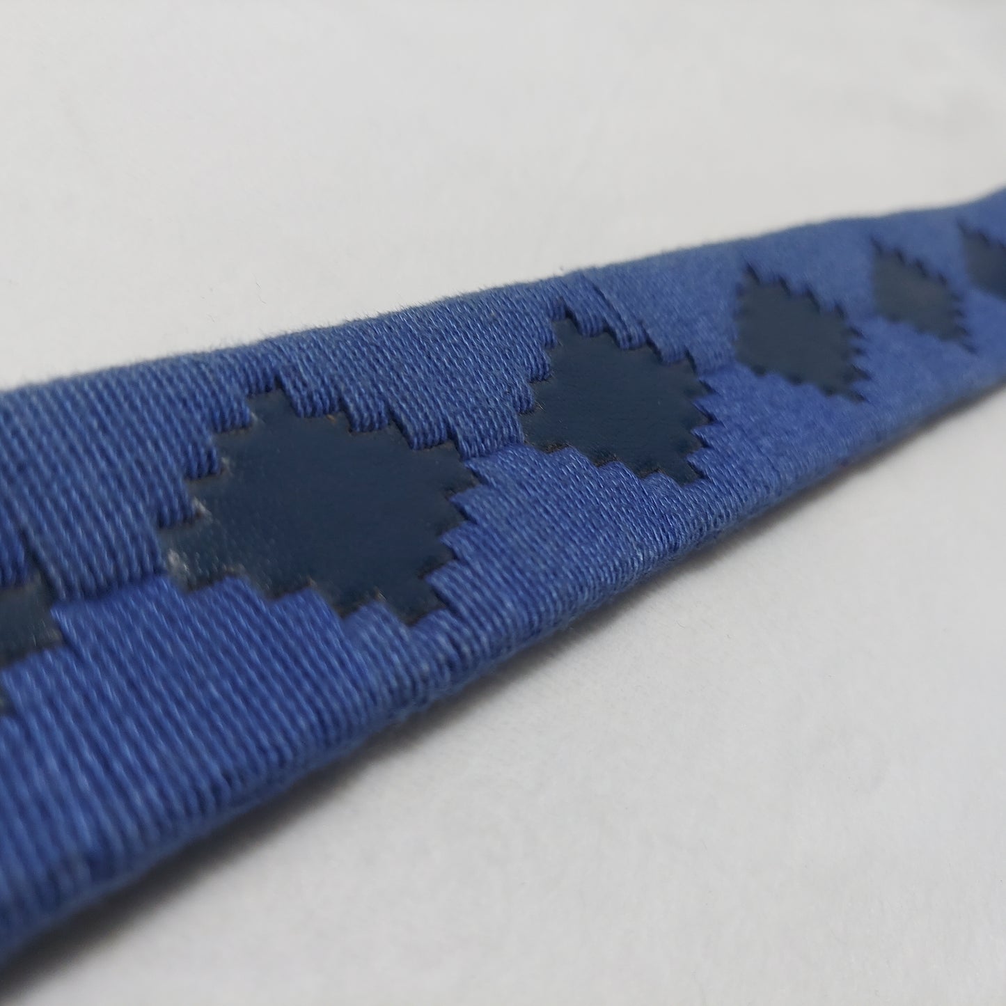 Pampa Belt - Bahr