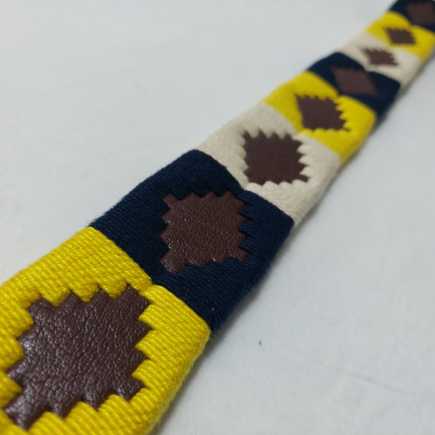 Pampa Belt - Andes Gold