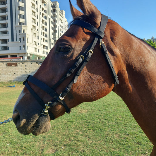 Natural Leather Bridle and reins