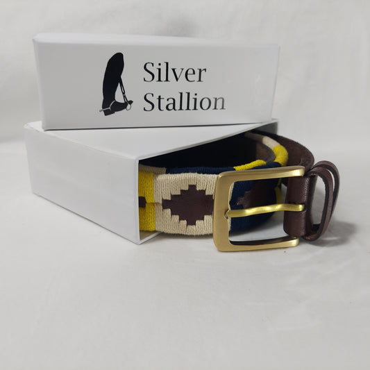 Pampa Belt - Andes Gold